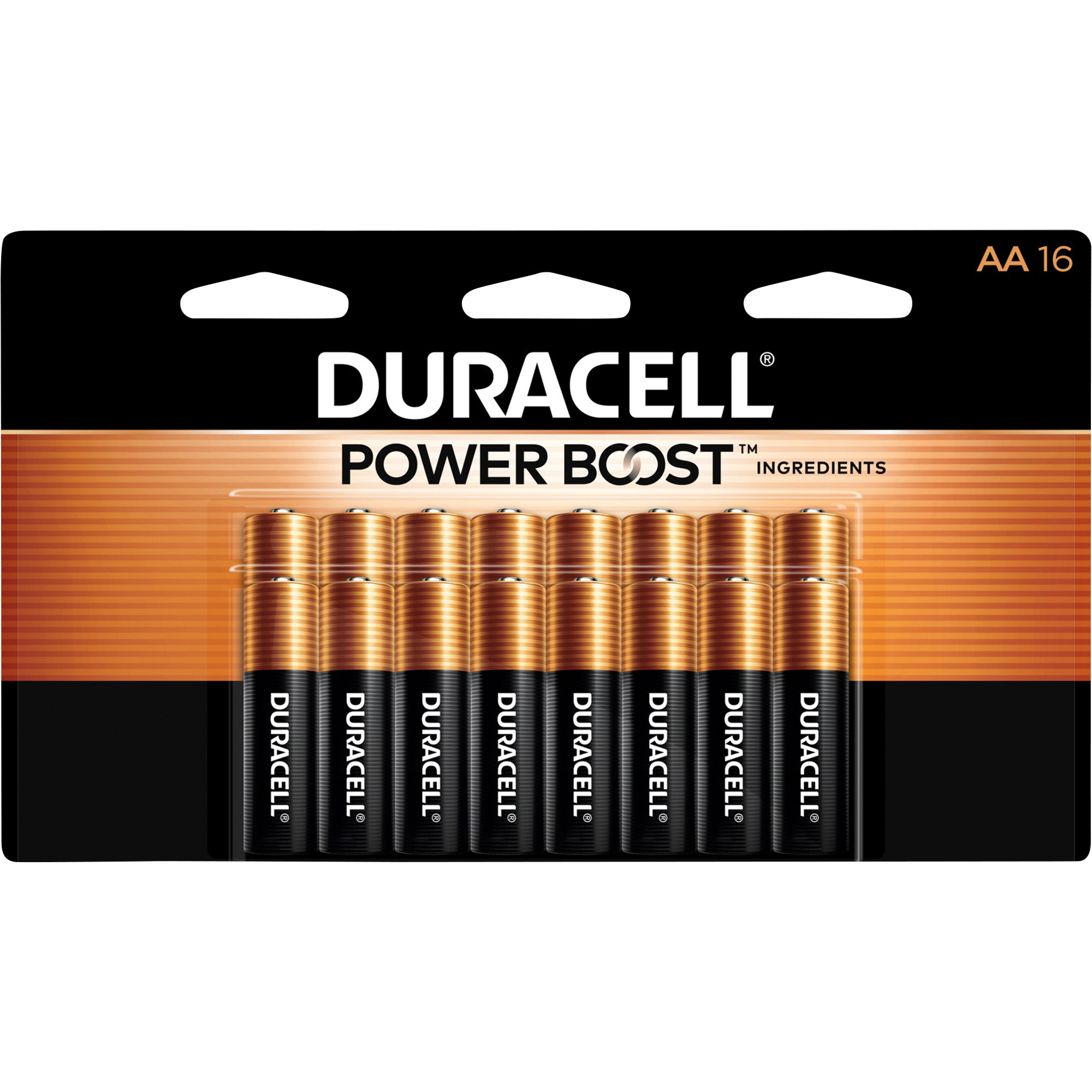 Duracell Coppertop AA Alkaline Batteries, 16-Pk.